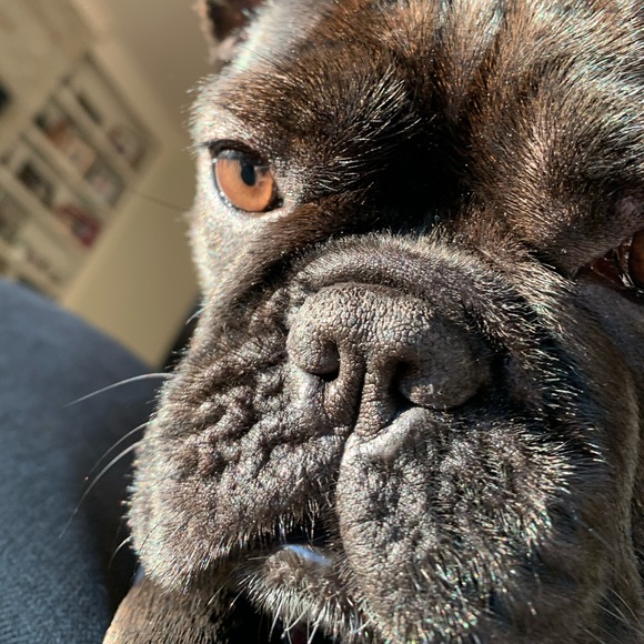 ❤️Welcome! I’m Matilda!!❤️ - Picture 11 of 12